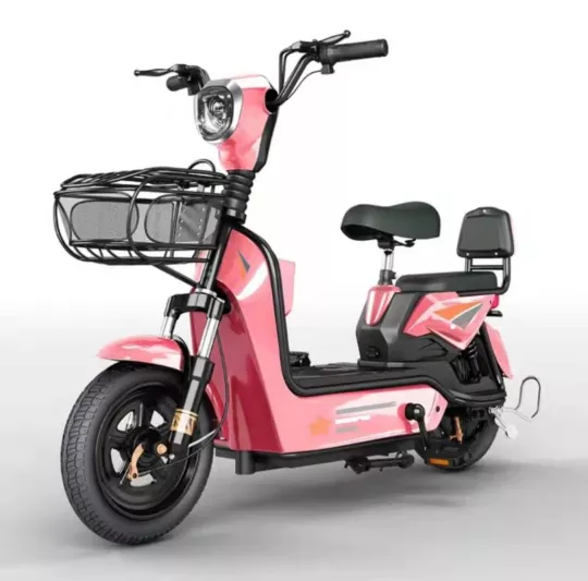 Electric bicycle for adults with battery car