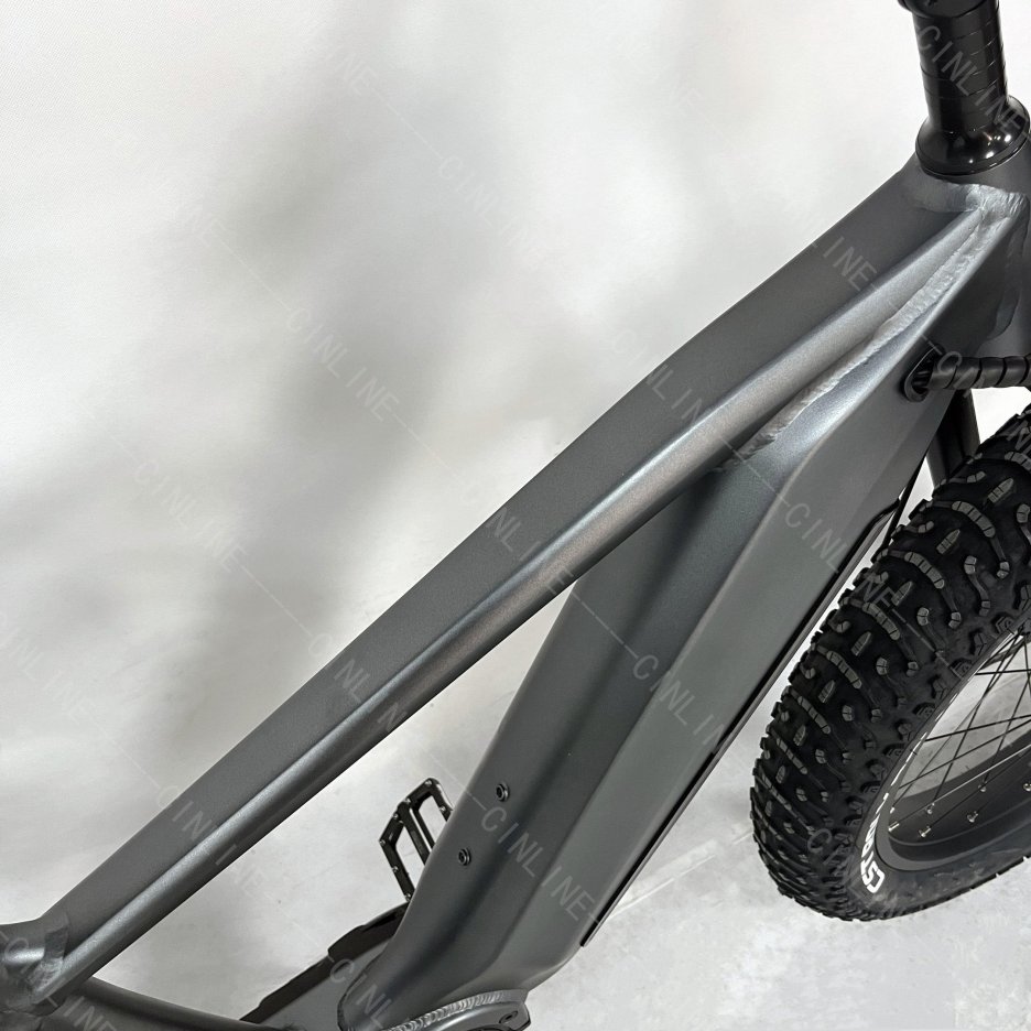 Fat tire Ebike long range easy rider central motor mountain electric bikes 48V 1000W