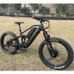 Bike electric bicycle 48V 1500w Electric Mountain Bikes for Adults Fat Tire dual battery 26x4.0''